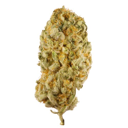 Sativa-Jack Herer