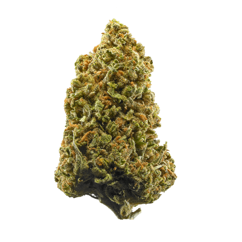 Sativa- Lamb’s Bread