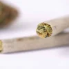 GrinchBud- Regular Sativa Joint GrinchBud- Regular Sativa Joint