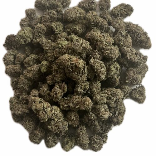 Blue Lobster (7G/14G/28G)