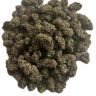 Blue Lobster (7G/14G/28G)