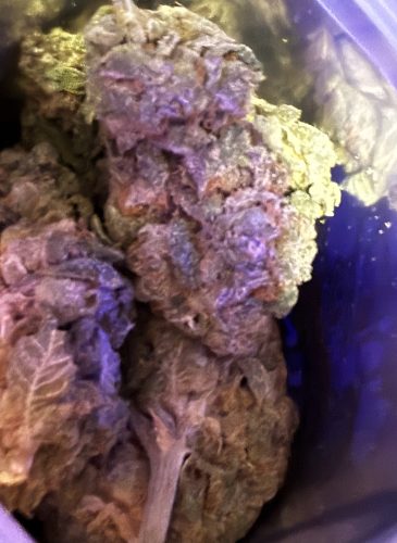 Purple Sour Diesel ($99 OZ/AAA+) photo review