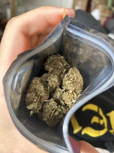 Purple Sour Diesel ($99 OZ/AAA+) photo review