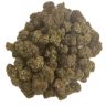 Cactus ($99 OZ/AAA+) Cactus ($99 OZ/AAA+)