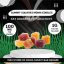 Jello Bar MDMA Edibles (1Gram)