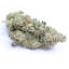 Tangilope (7G/14G/28G) AAAA
