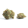Snoop Dogg OG (7G/14G/28G) AAAA Snoop Dogg OG (7G/14G/28G) AAAA