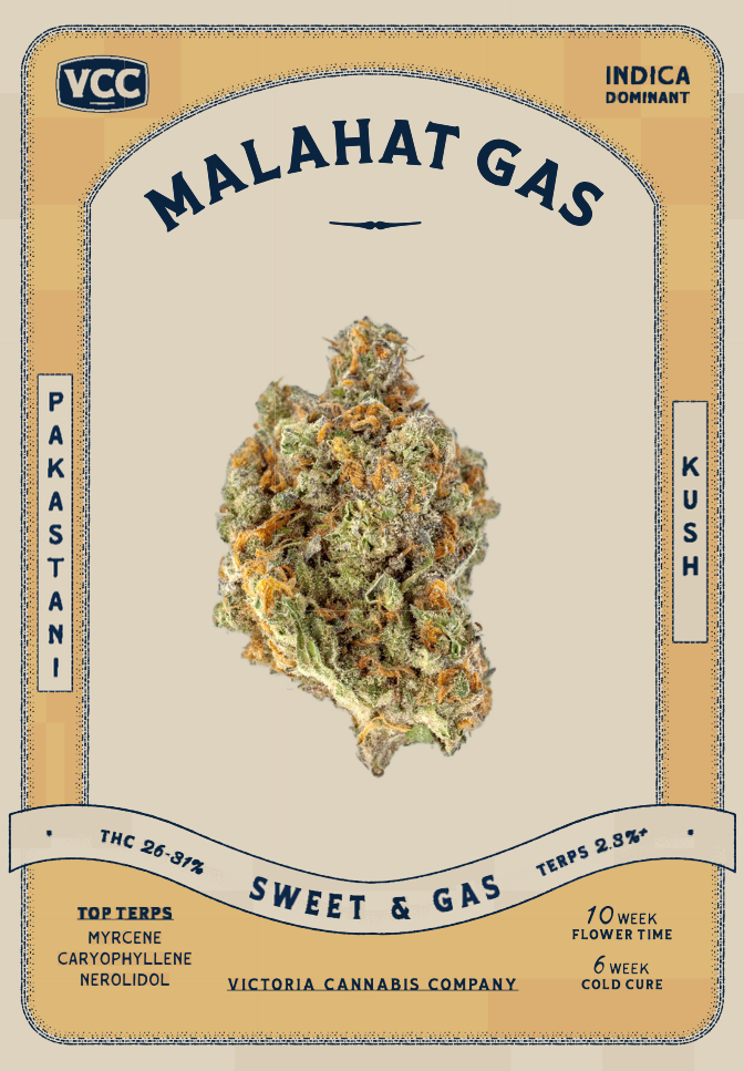 Malahat Gas OG (7G/14G/28G) AAAA Malahat Gas OG (7G/14G/28G) AAAA