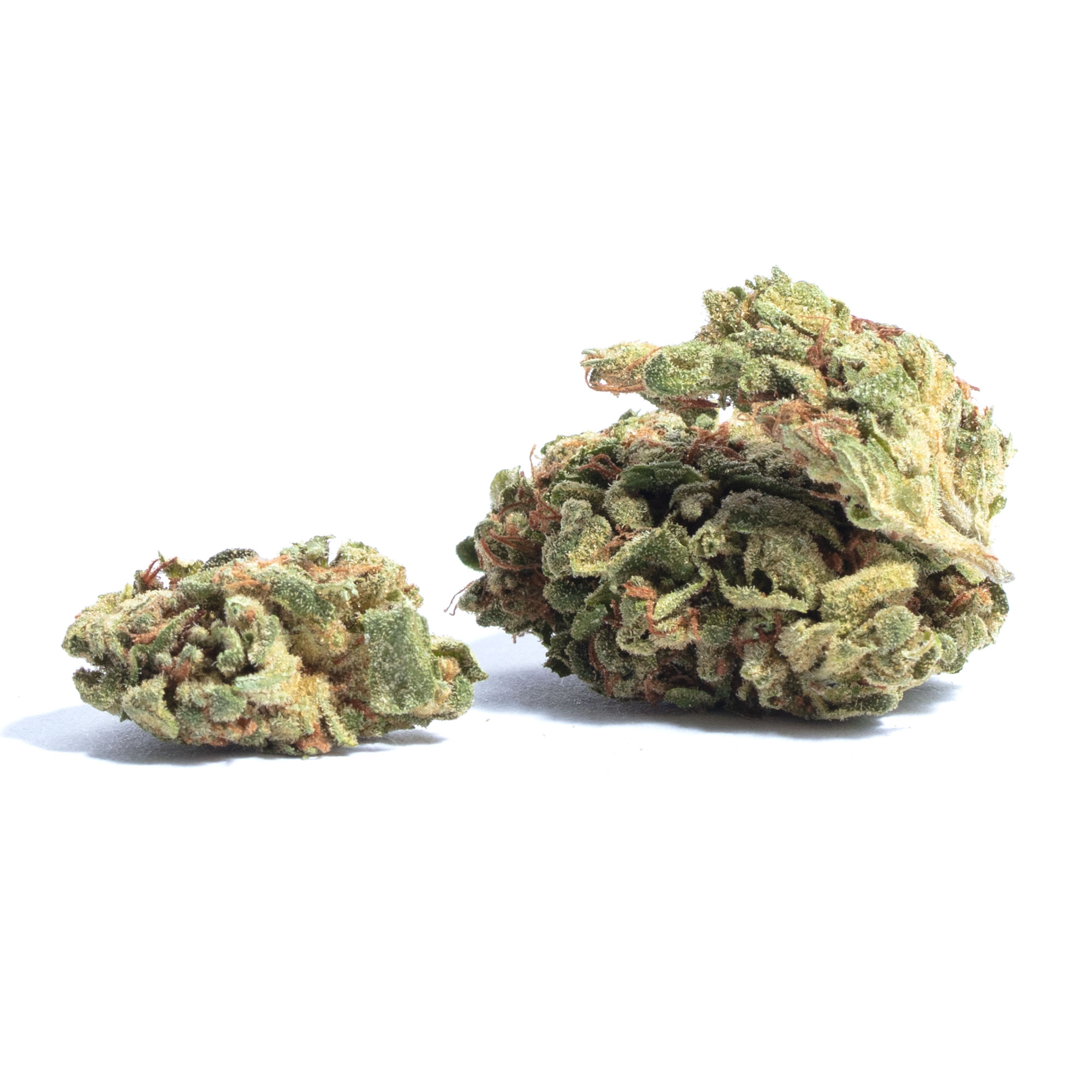 Black D.O.G. (7G/14G/28G) AAAA Black D.O.G. (7G/14G/28G) AAAA
