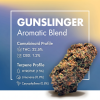 Gunslinger (AAAA)