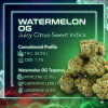 Watermelon OG (AAAA)